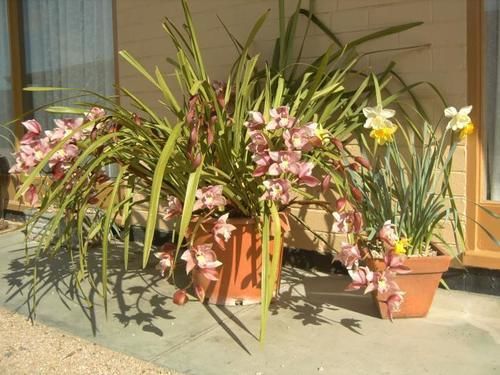 Travellers Rest Motel Bairnsdale Εξωτερικό φωτογραφία